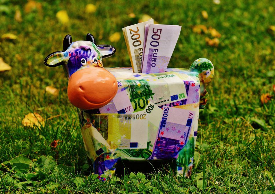 spaarpot van koe met geld