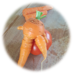 mr carrot - misvormde wortel